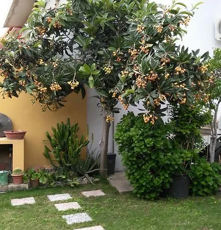 Rose E Fiori Sardegna * San Vito Lo Capo