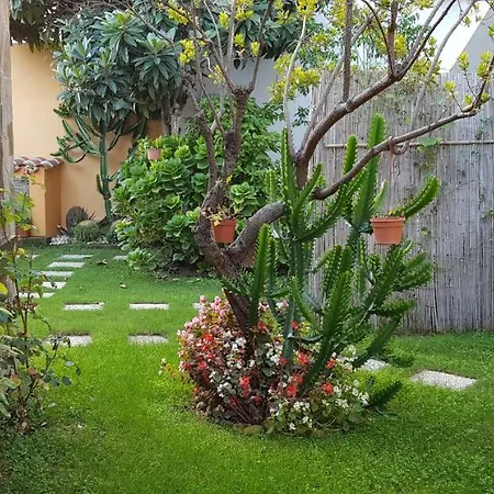 Rose E Fiori Sardegna