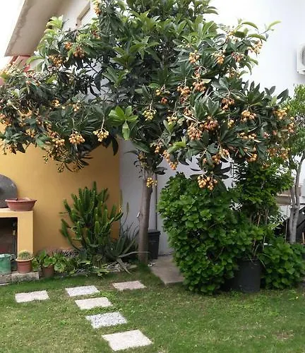Rose E Fiori Sardegna * 圣维托
